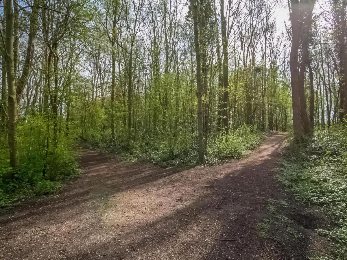Holiday Home In Noordwijkerhout With Terrace Close To A Lake エクステリア 写真